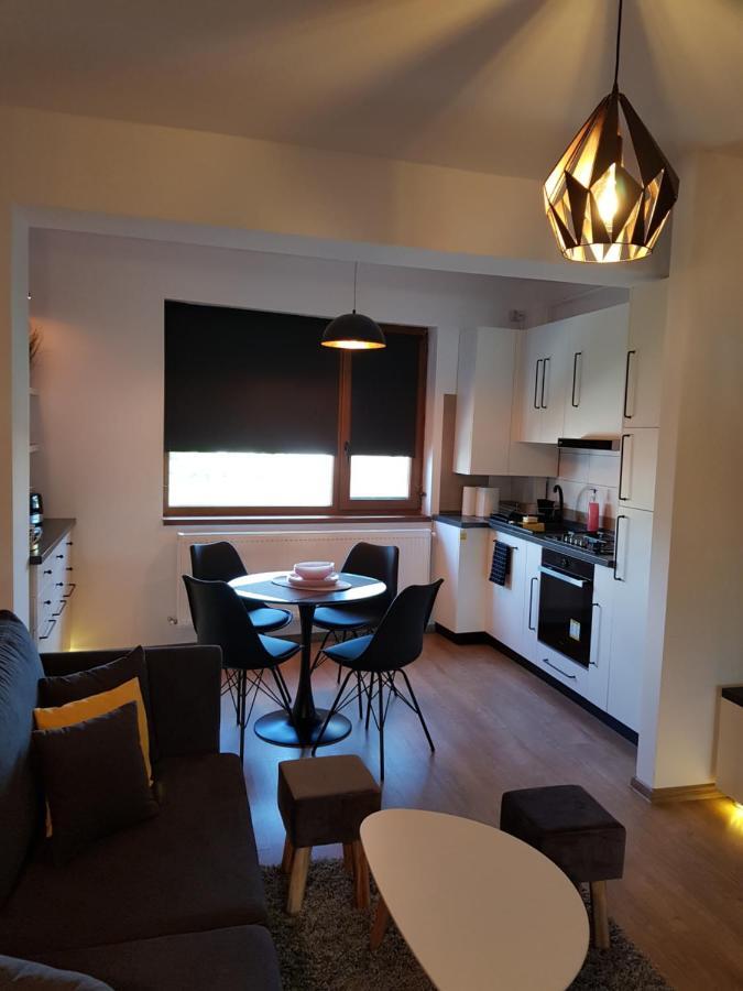 Kolonaki Domus Apartment 3 Iasi Bagian luar foto